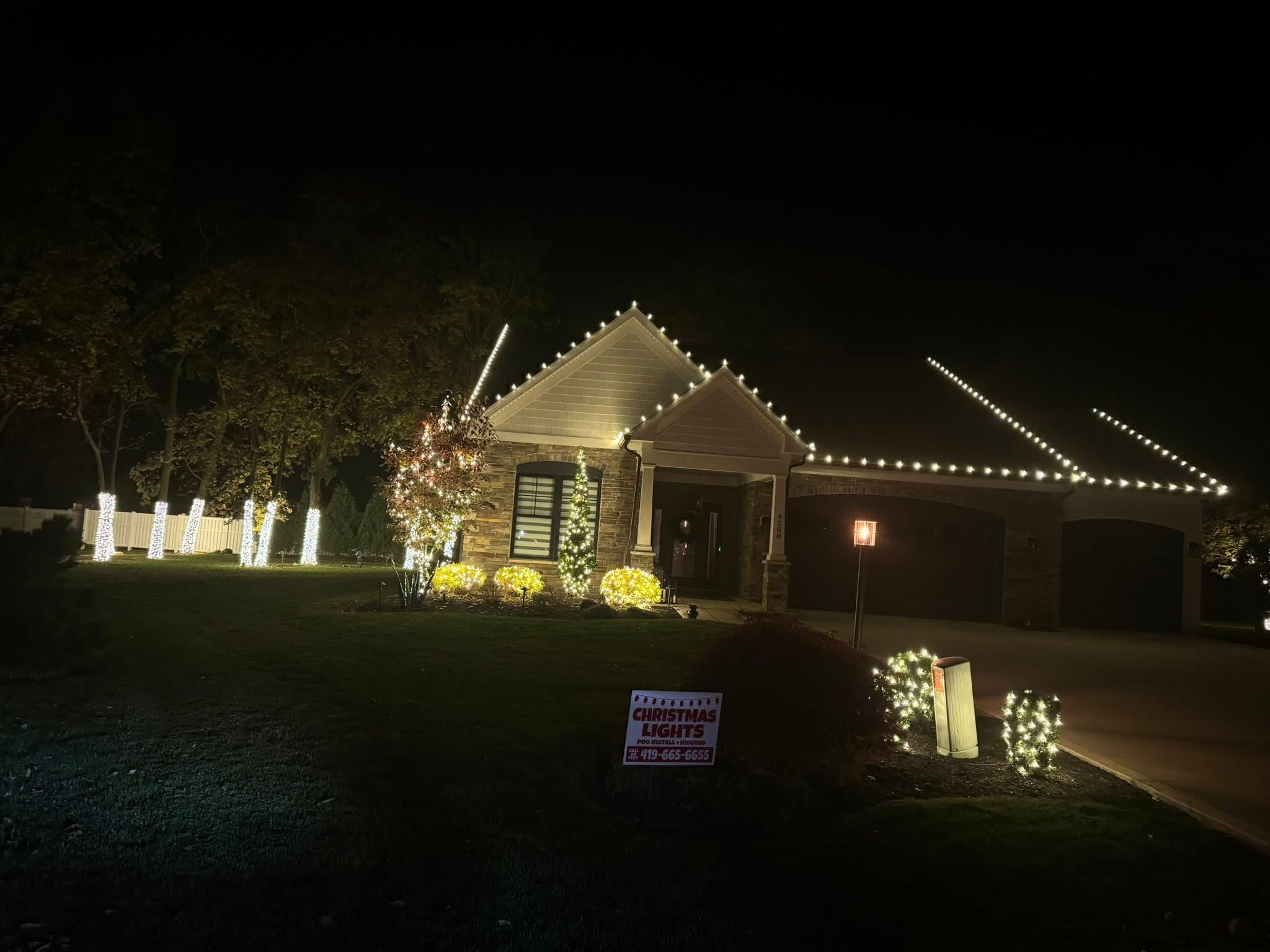 Commercial lighting display